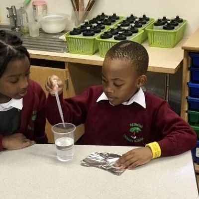 Science in Year 2